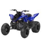 2026 Yamaha Raptor 110