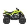 2026 Yamaha Raptor 110
