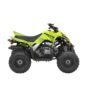 2026 Yamaha Raptor 110