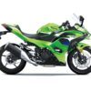 2026 Kawasaki Ninja® 500 SE ABS