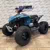 2026 Can-Am® Renegade 110 EFI